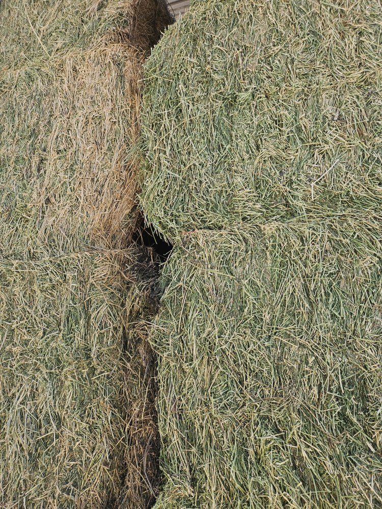 3x4 Alfalfa Hay