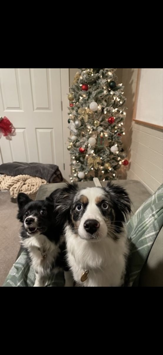 The best of friends 