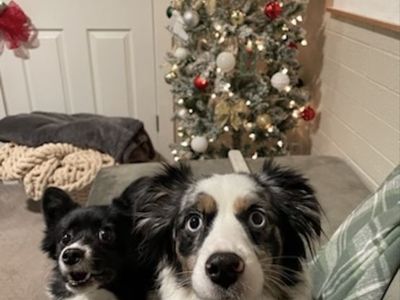 The best of friends