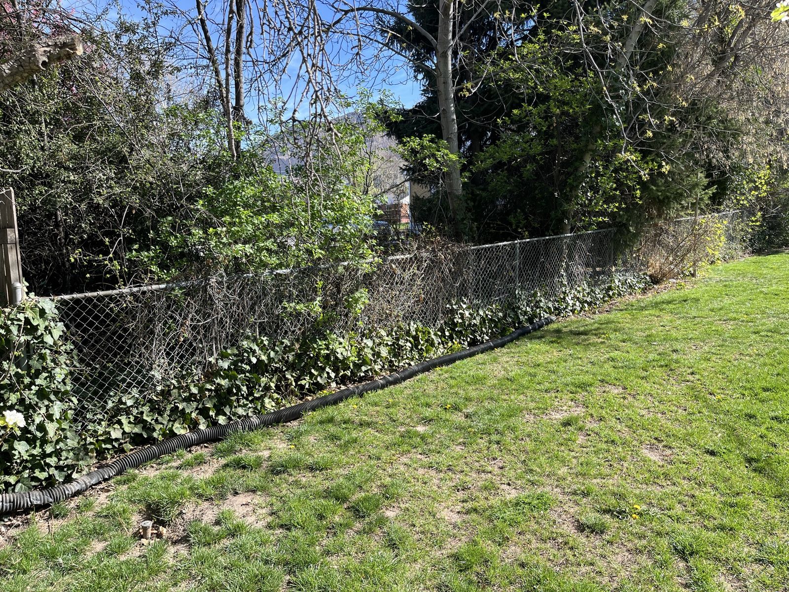Free chain link.