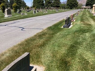 Burial Plots