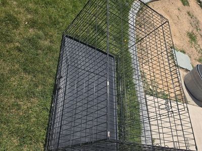 XL dogs kennel