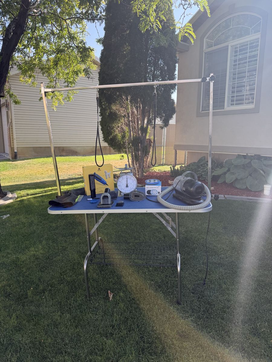 Pet grooming table and tools