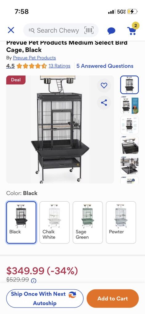 $350 African Gray Iron Parrot Cage + Play Stand