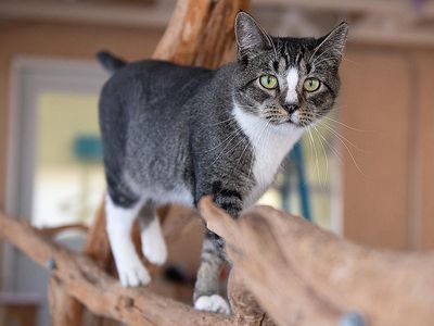 Hello my name is Palmer