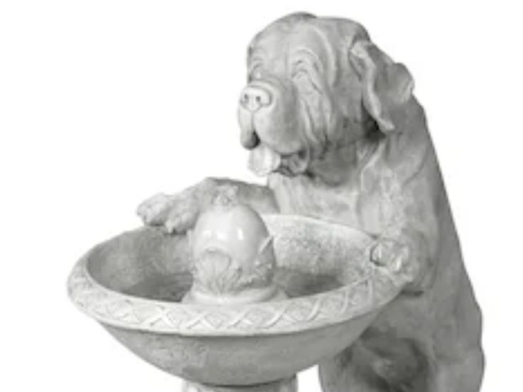 Main image 1