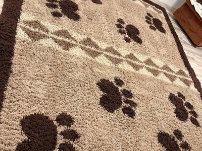 Large Area Rug with Paw Print Design - Beige and Brown Shag Carpet