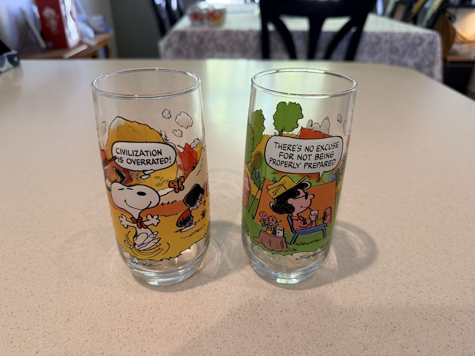 Camp Snoopy collectible glasses from 1983