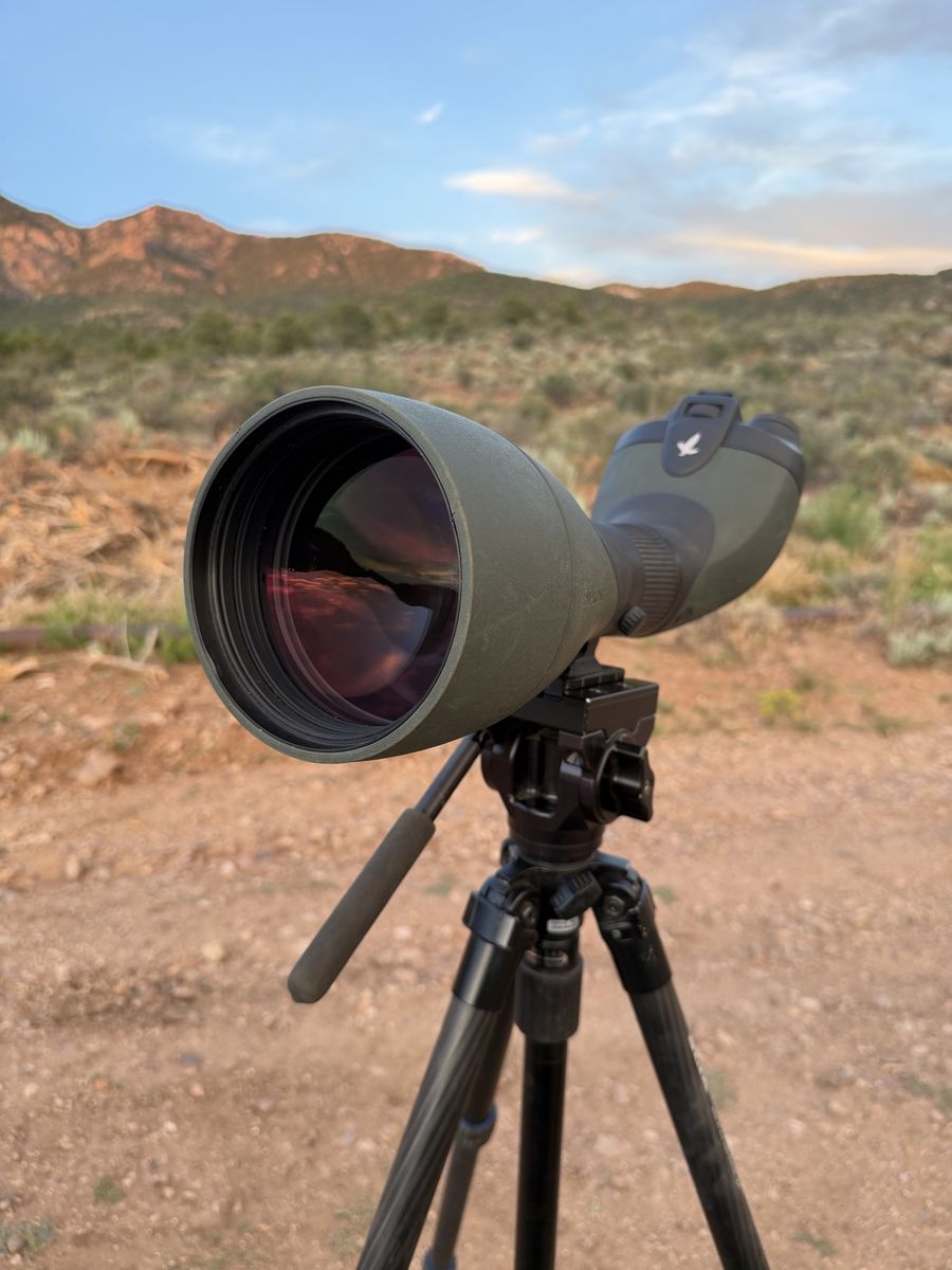 Swarovski BTX 115 with 1.7 extender, marsupial case