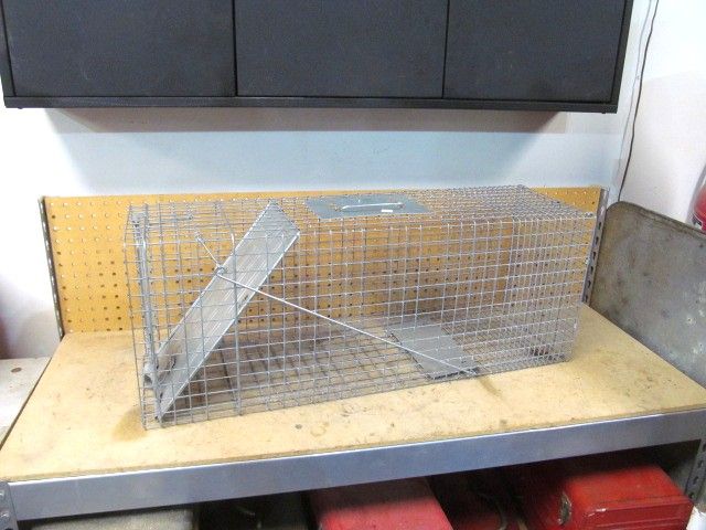 Large live animal trap