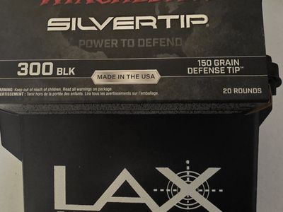 300 Blackout ammo (580 rounds)