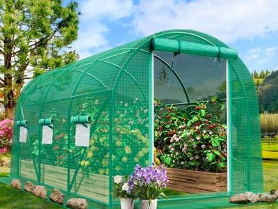 GrandTunnel 9.7x19.5 FT Walk-In Greenhouse New in Box #353
