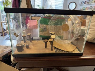 Complete Hamster Habitat Starter Kit – Glass Tank, Silent Wheel & Accessories