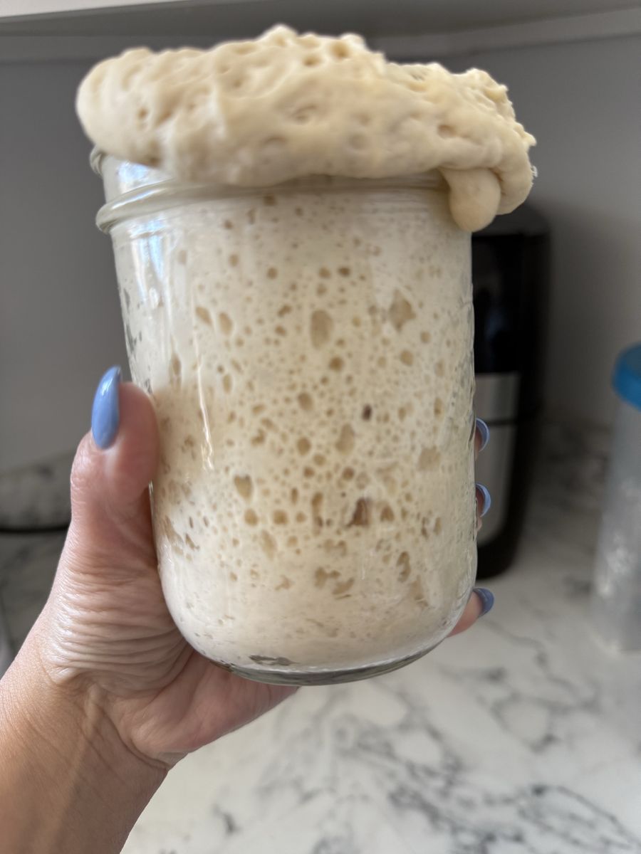 Mature sourdough starter ready to bake
