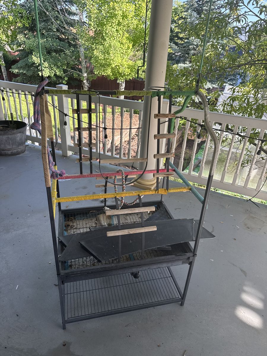Parrot play stand
