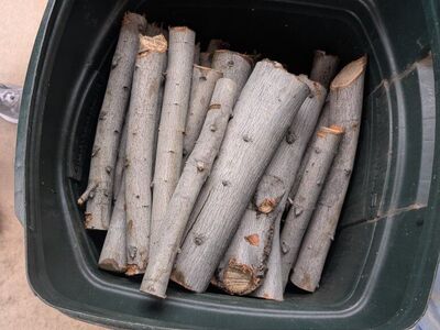 Firewood