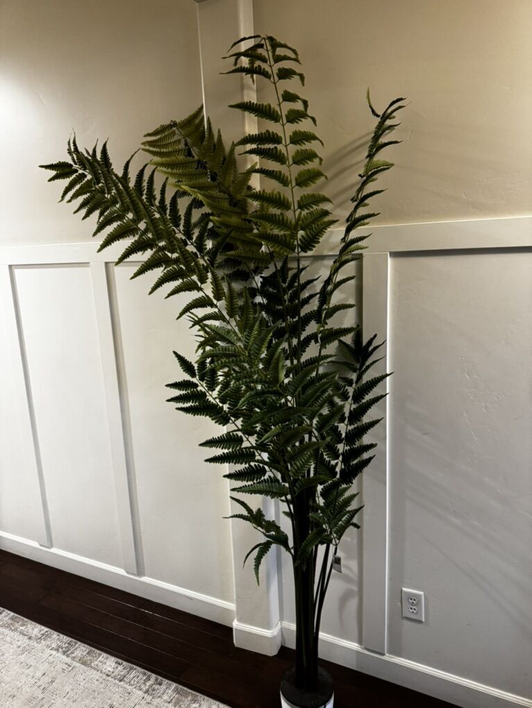 New 7' Artificial Fern Indoor Everyday Tree