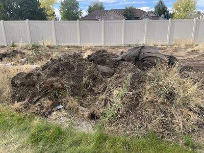 Mulch Compost