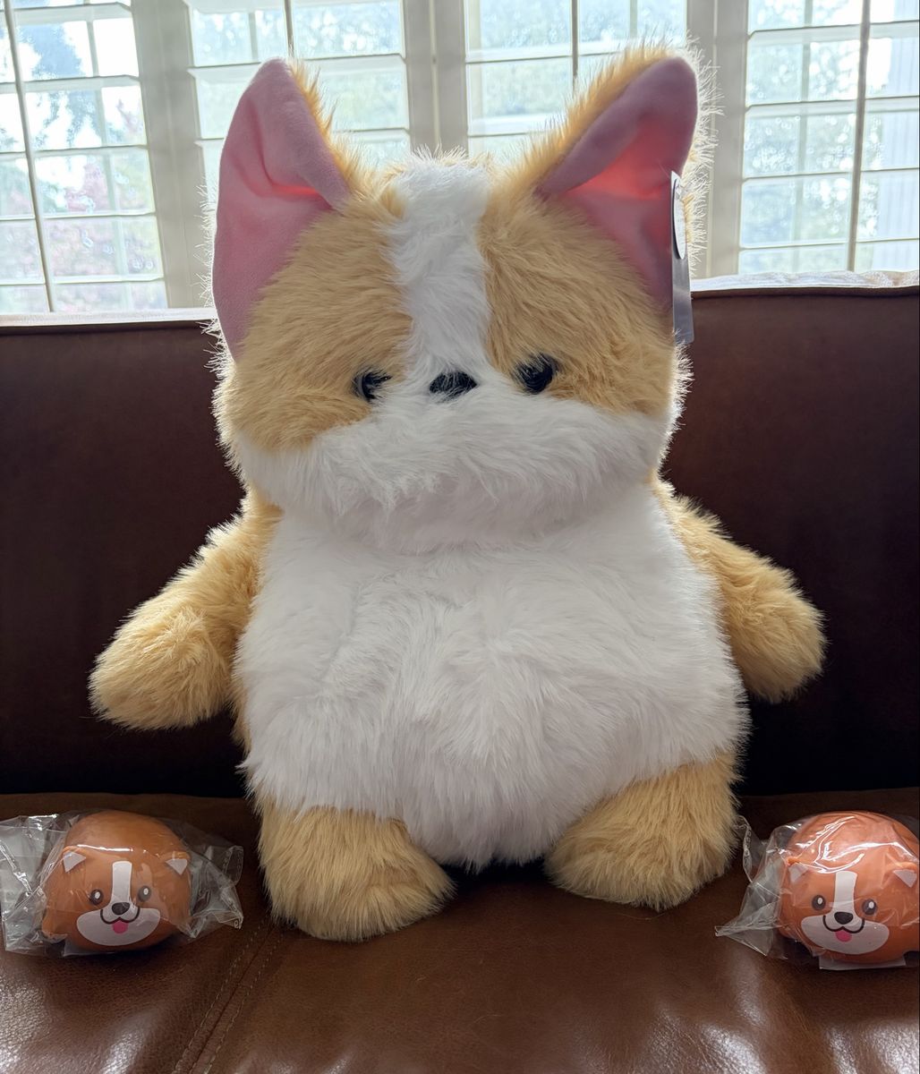 Corgi! Corgi! Corgi!!! Plushie and Squishies