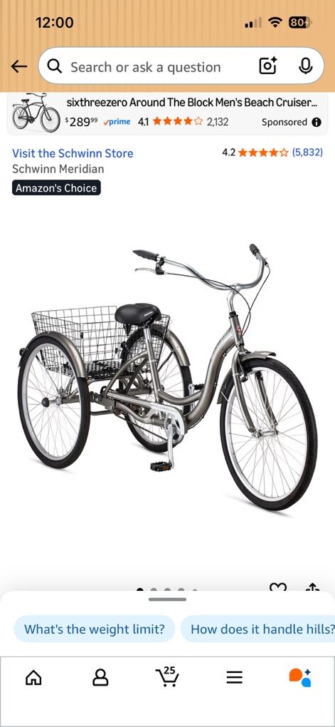 Adult 3 Wheel Schwinn Bike