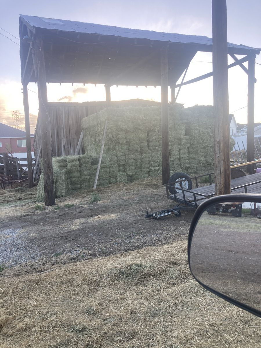 Grass Hay