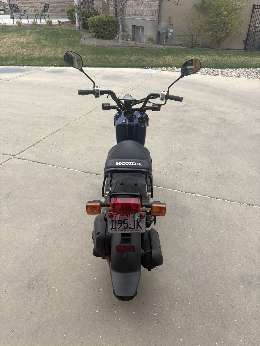 2022 Honda Ruckus