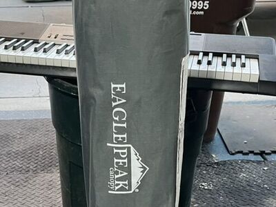 Eagle Peak 10 ft. X 10 ft. Easy up canopy