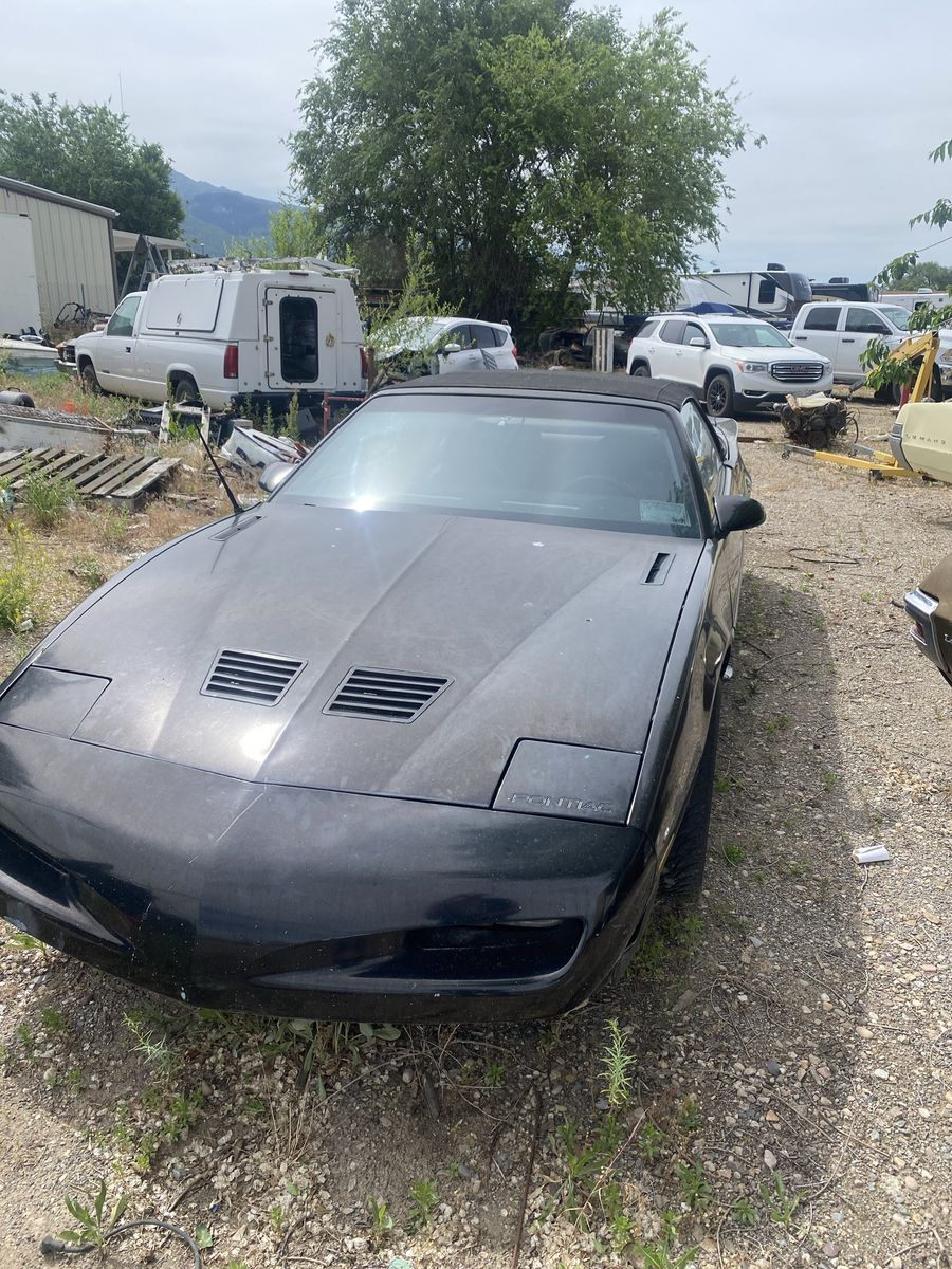 1992 Pontiac Firebird Trans Am