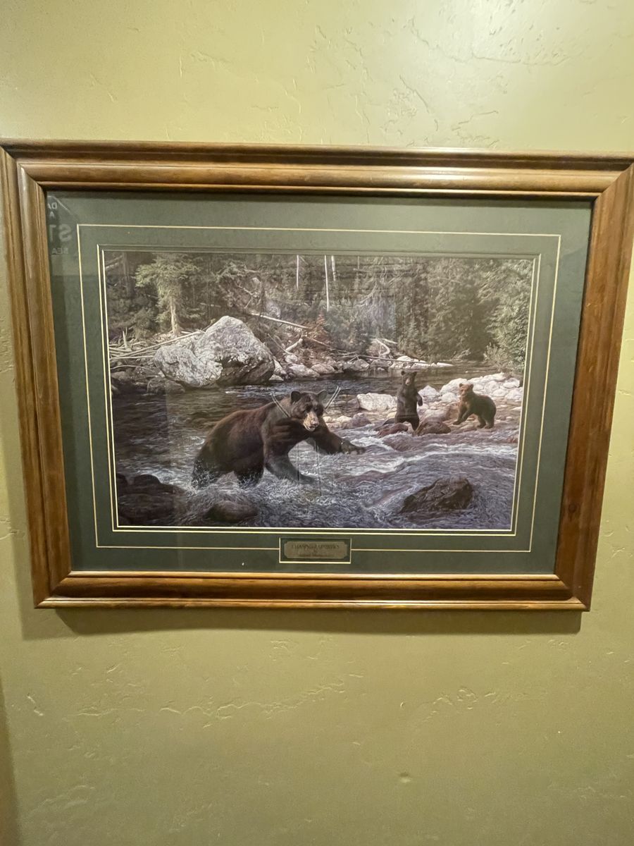 Framed wildlife prints
