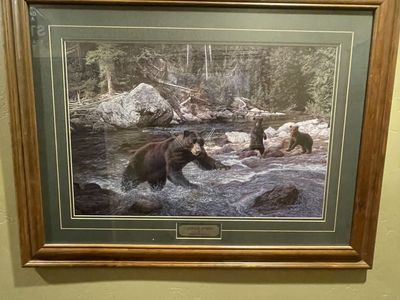 Framed wildlife prints