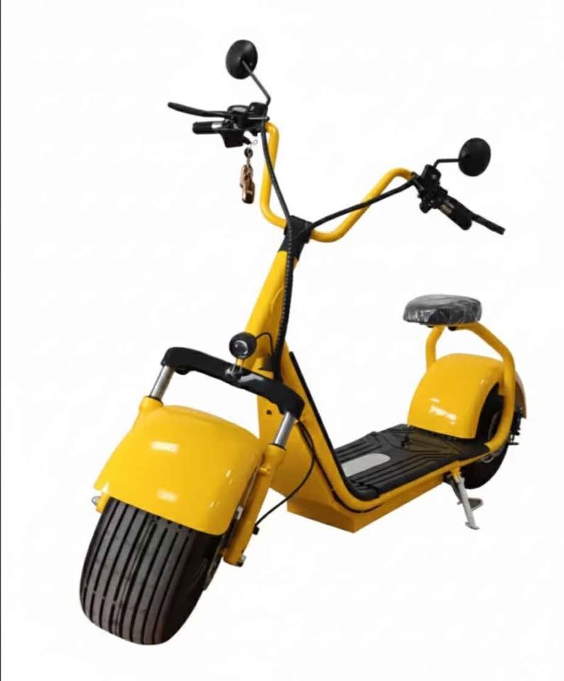 Voltix Fat tire E-scooter