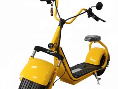 Voltix Fat tire E-scooter