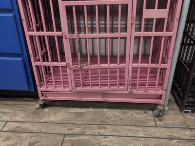 Heavy Duty Kennels