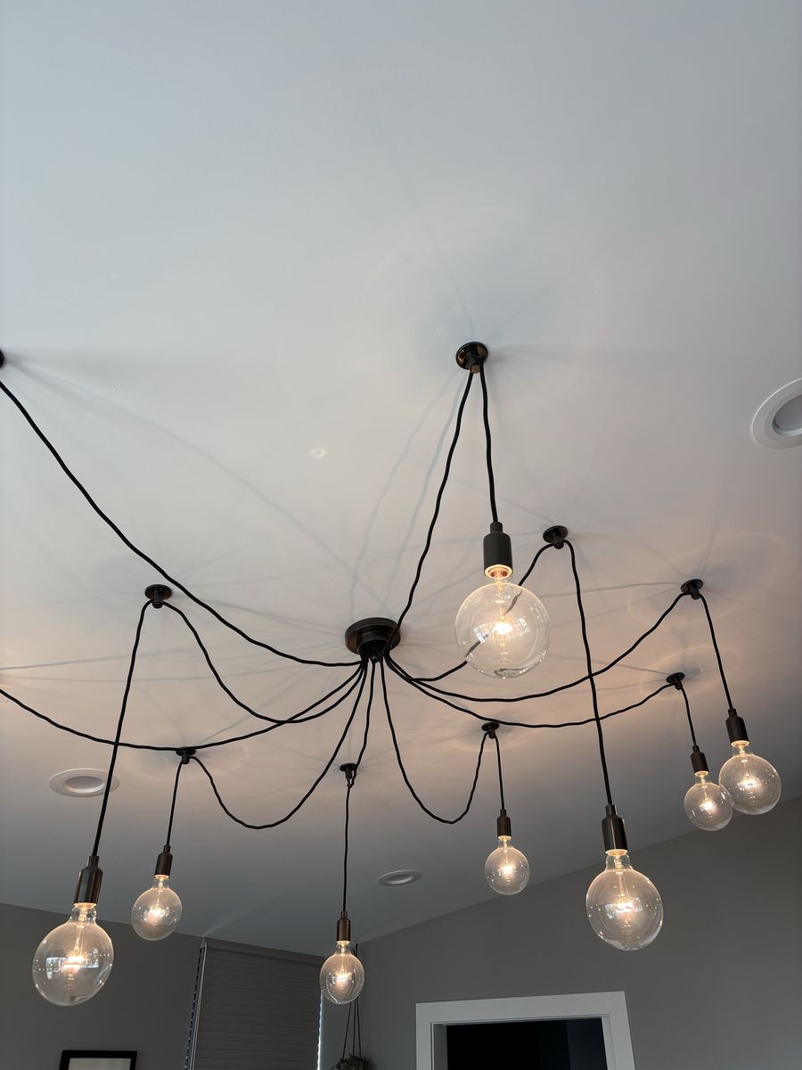 10 bulb adjustable chandelier - Pottery Barn