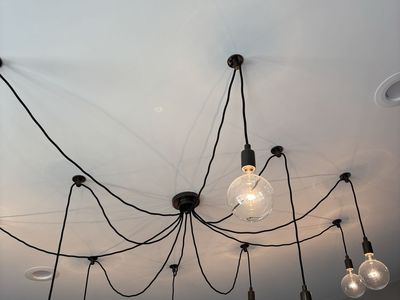 10 bulb adjustable chandelier - Pottery Barn