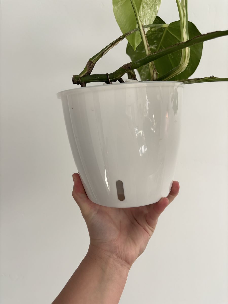 Main image 3