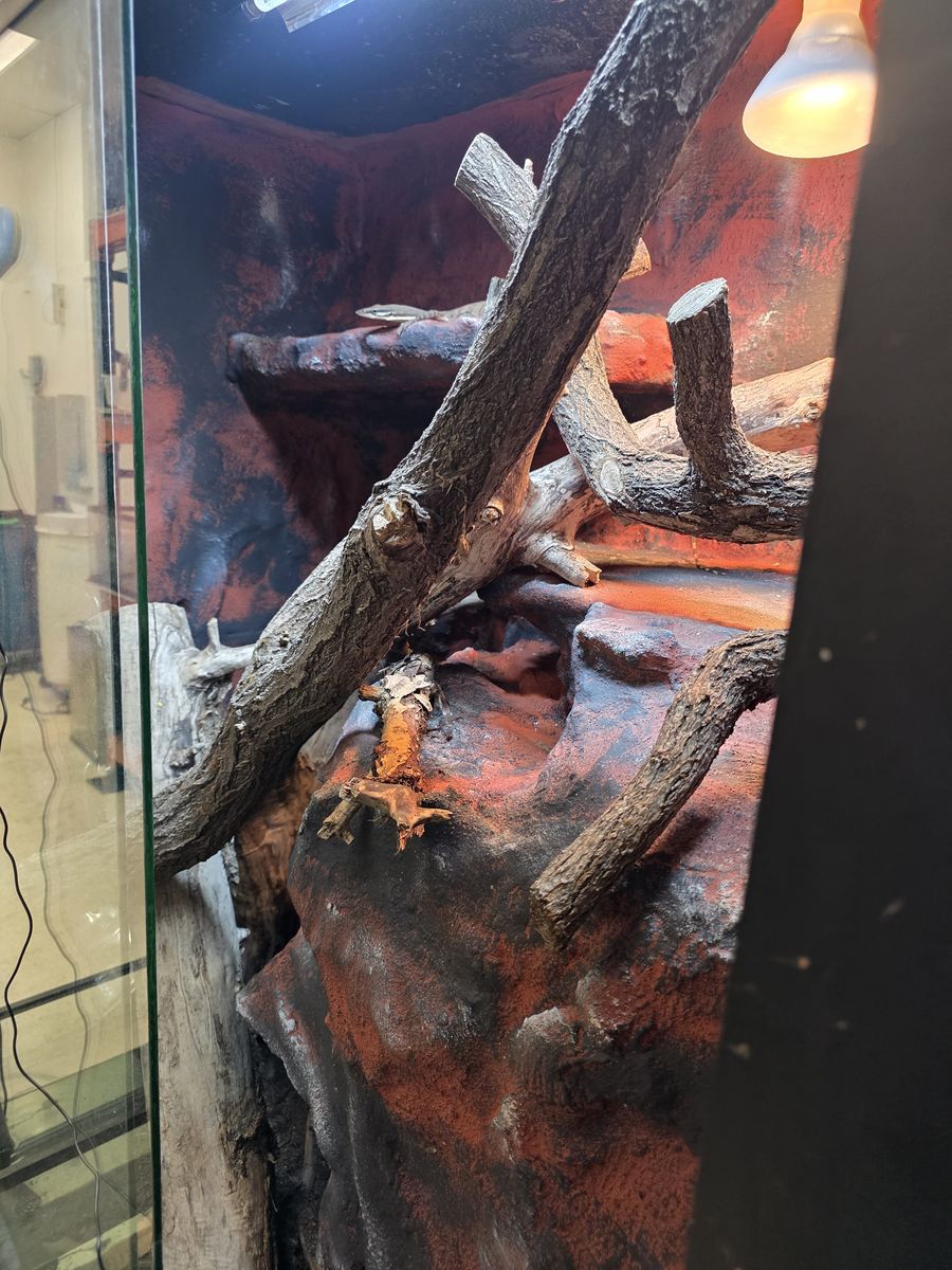 Main image 6