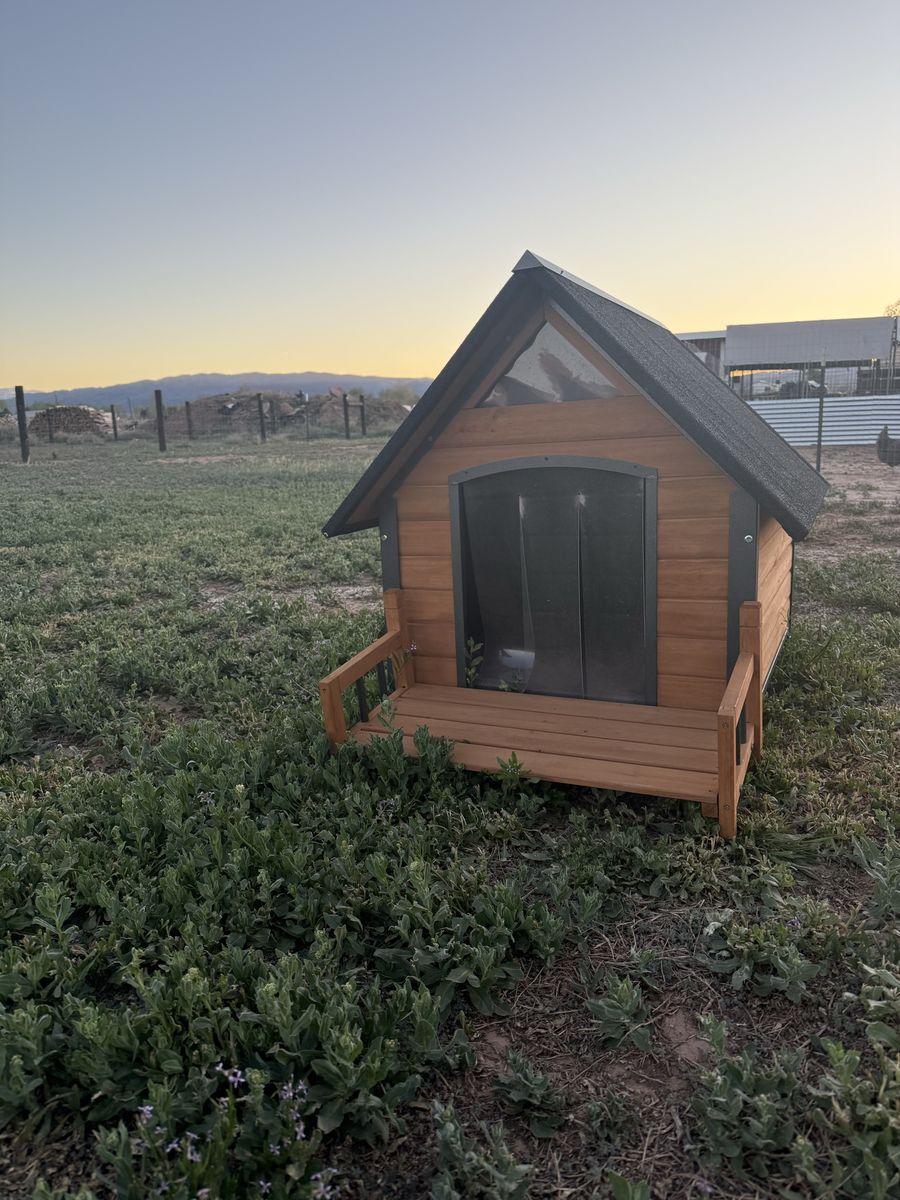 Insulated Dog House