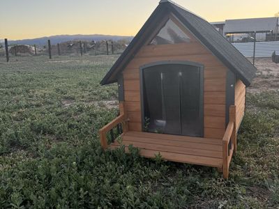 Insulated Dog House