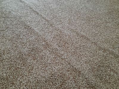 J.T.L Carpet repairs. Flood lay back. Installation