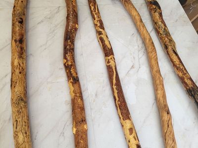 walking sticks and canes