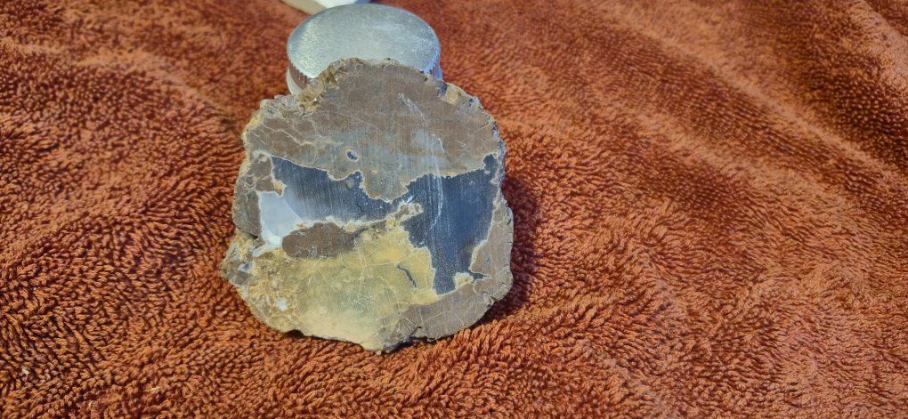 Main image 6