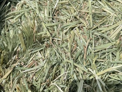 Oat Hay- 2 string bales