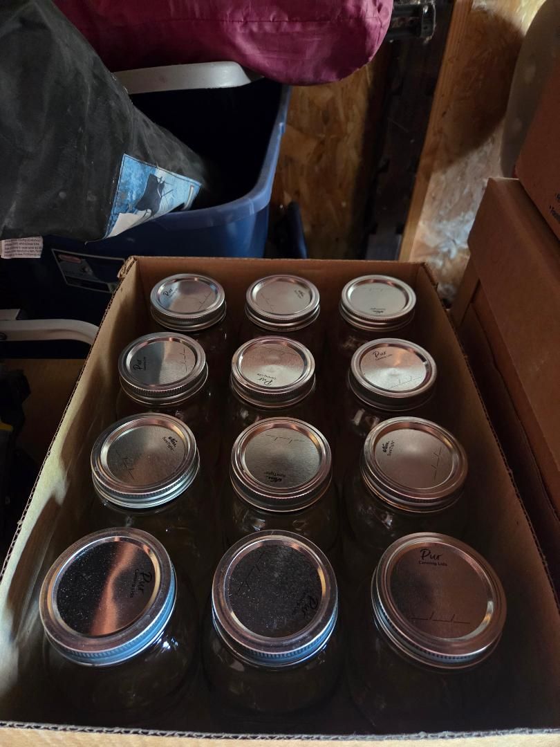 Regular mouth canning jars for sale