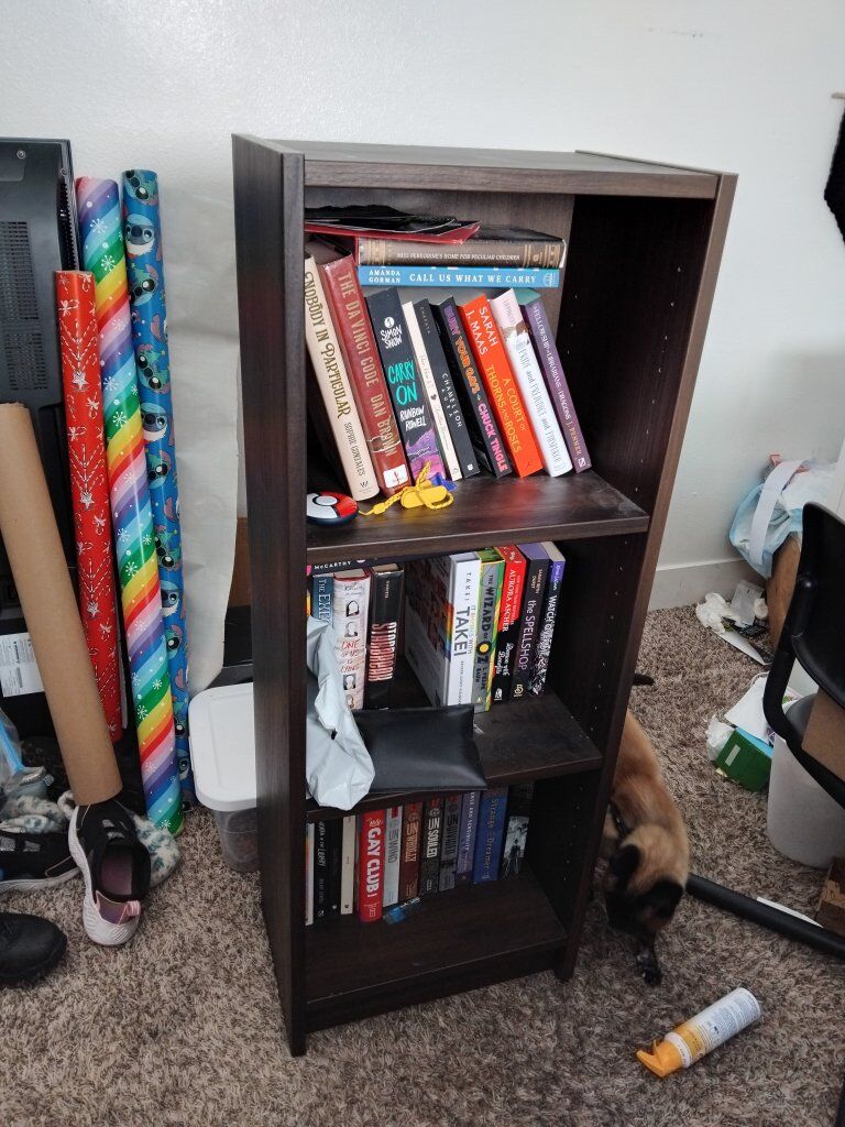IKEA Billy Bookcase