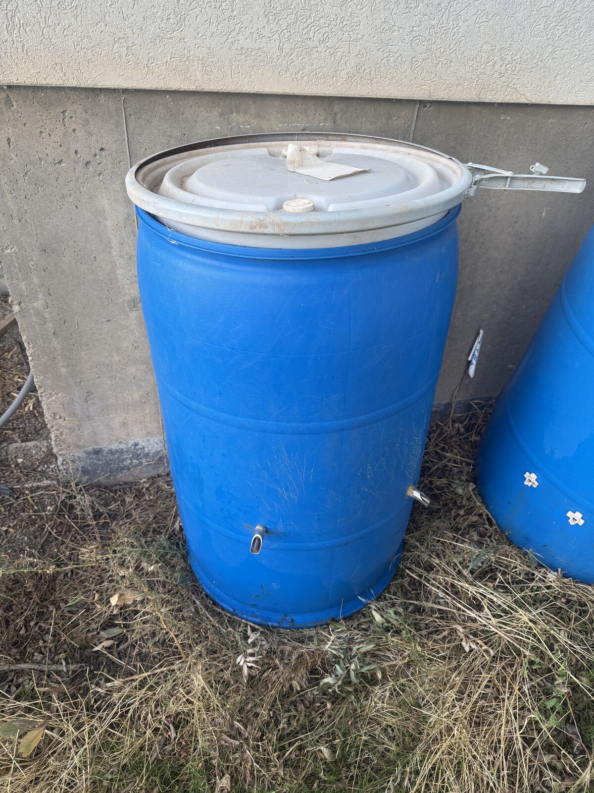 Used 55 gallon watering drum for pigs hogs with 2 nipples
