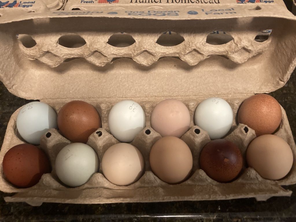 Farm Fresh Chicken Eggs