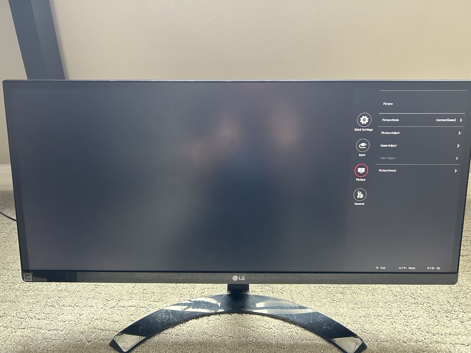 LG 28" UltraWide Gaming Monitor