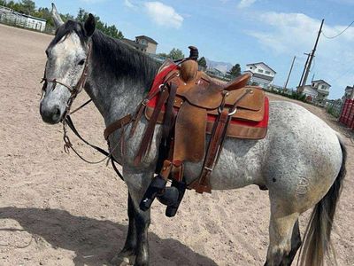 Breakaway Horse