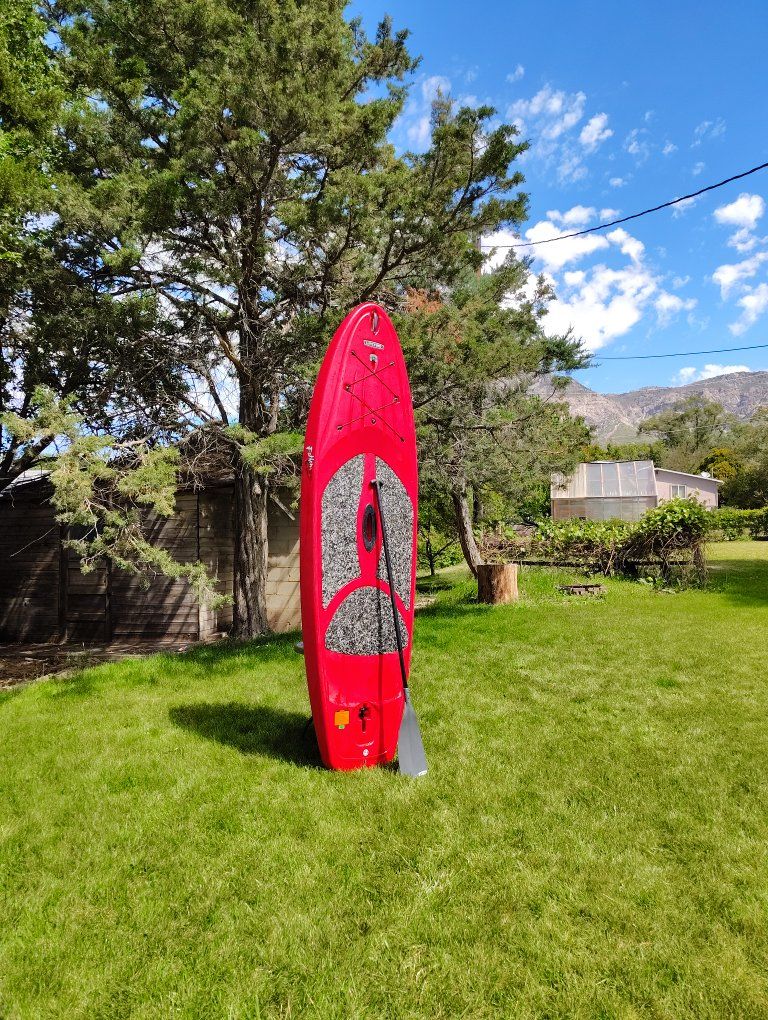 Lifetime Paddleboard